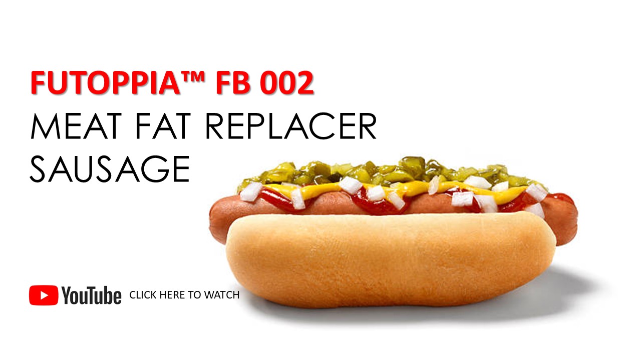 Meat Fat Replacer Sausage